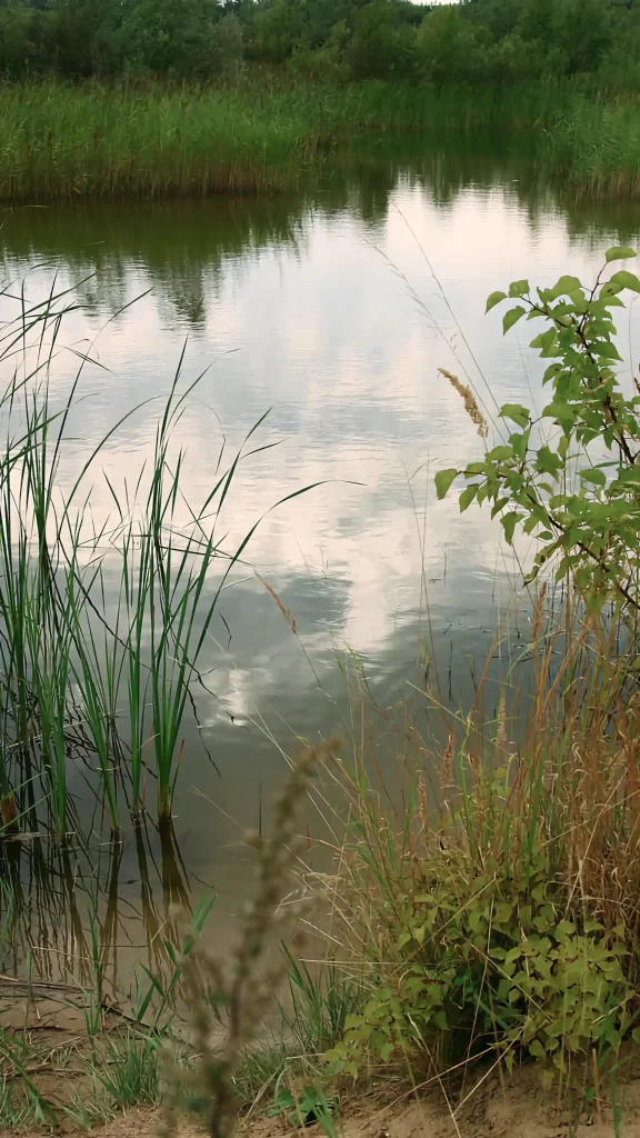 Queer Illustration Stories